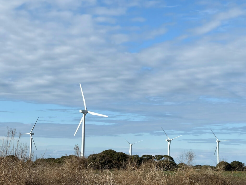 写真提供／越田正浩氏